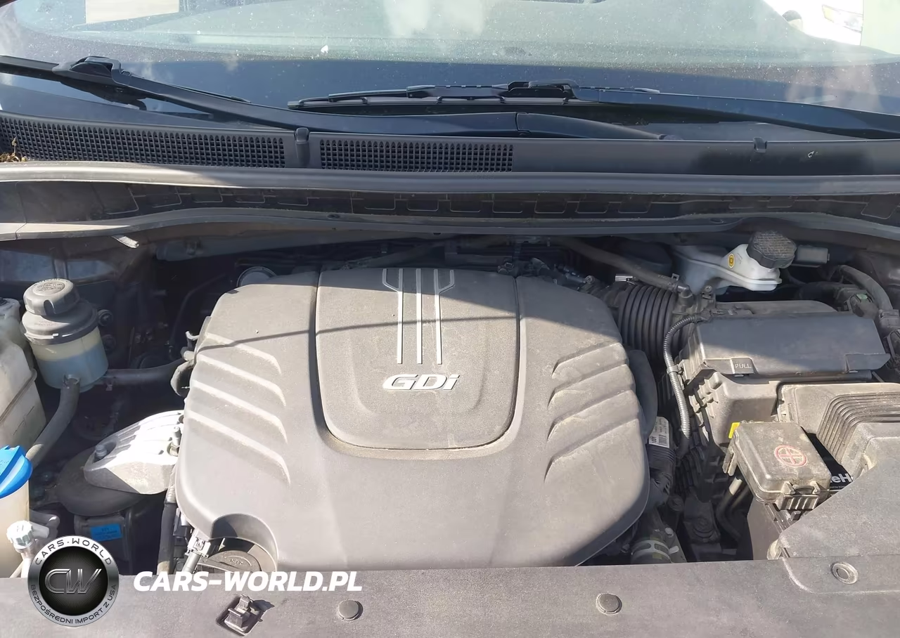 2016 Kia Sedona Lx VIN:KNDMB5C18G6165959 - 10