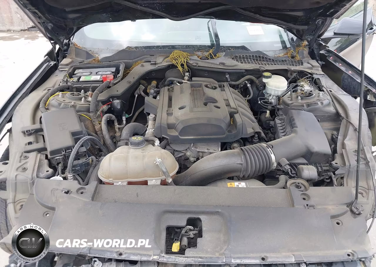 2016 Ford Mustang Ecoboost VIN:1FA6P8TH2G5247206 - 10