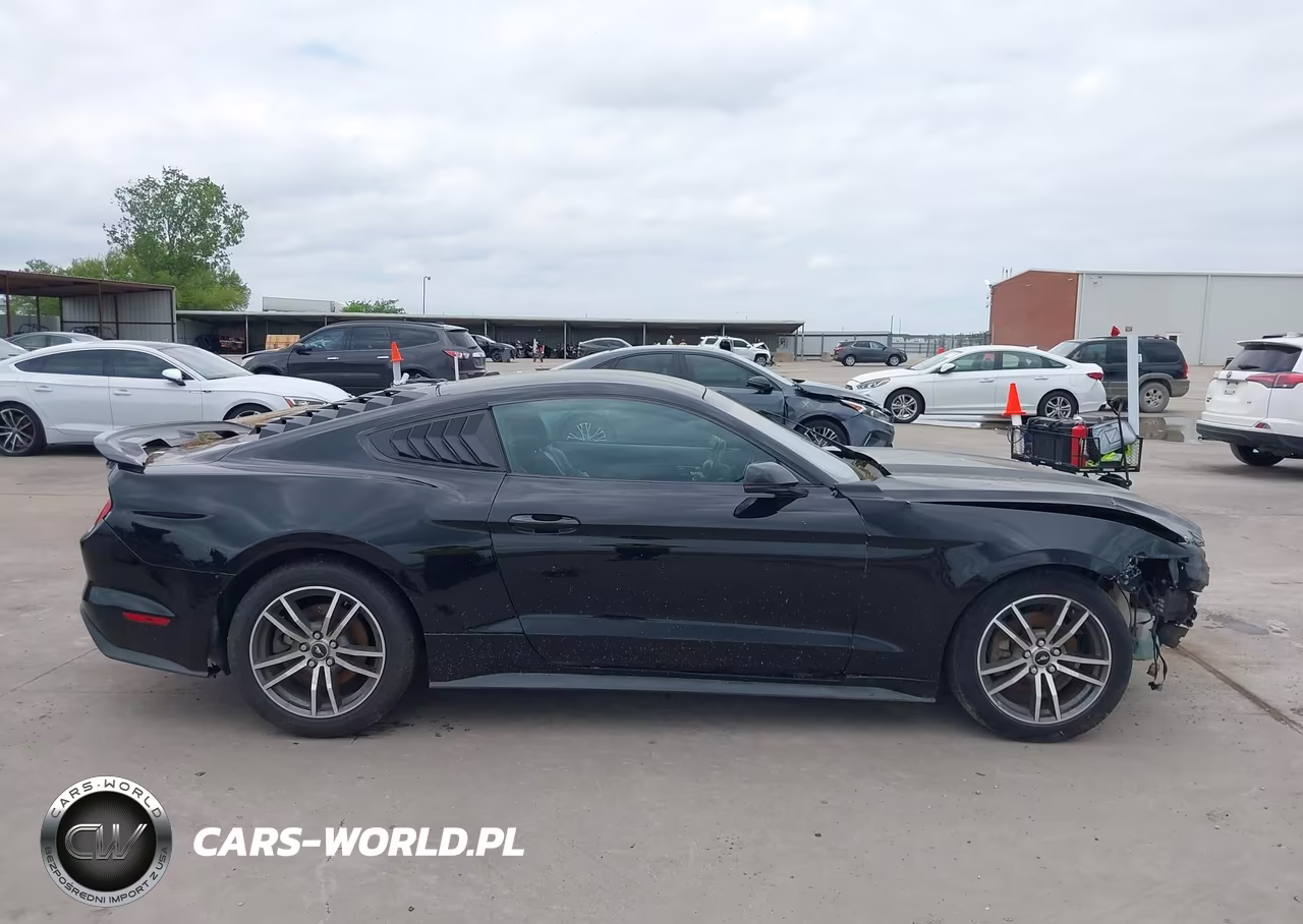 2016 Ford Mustang Ecoboost VIN:1FA6P8TH2G5247206 - 14