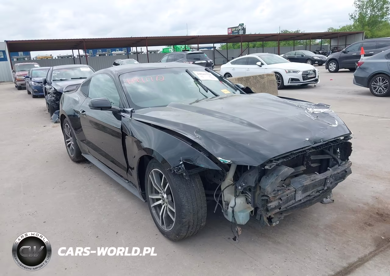 2016 Ford Mustang Ecoboost VIN:1FA6P8TH2G5247206 - 19