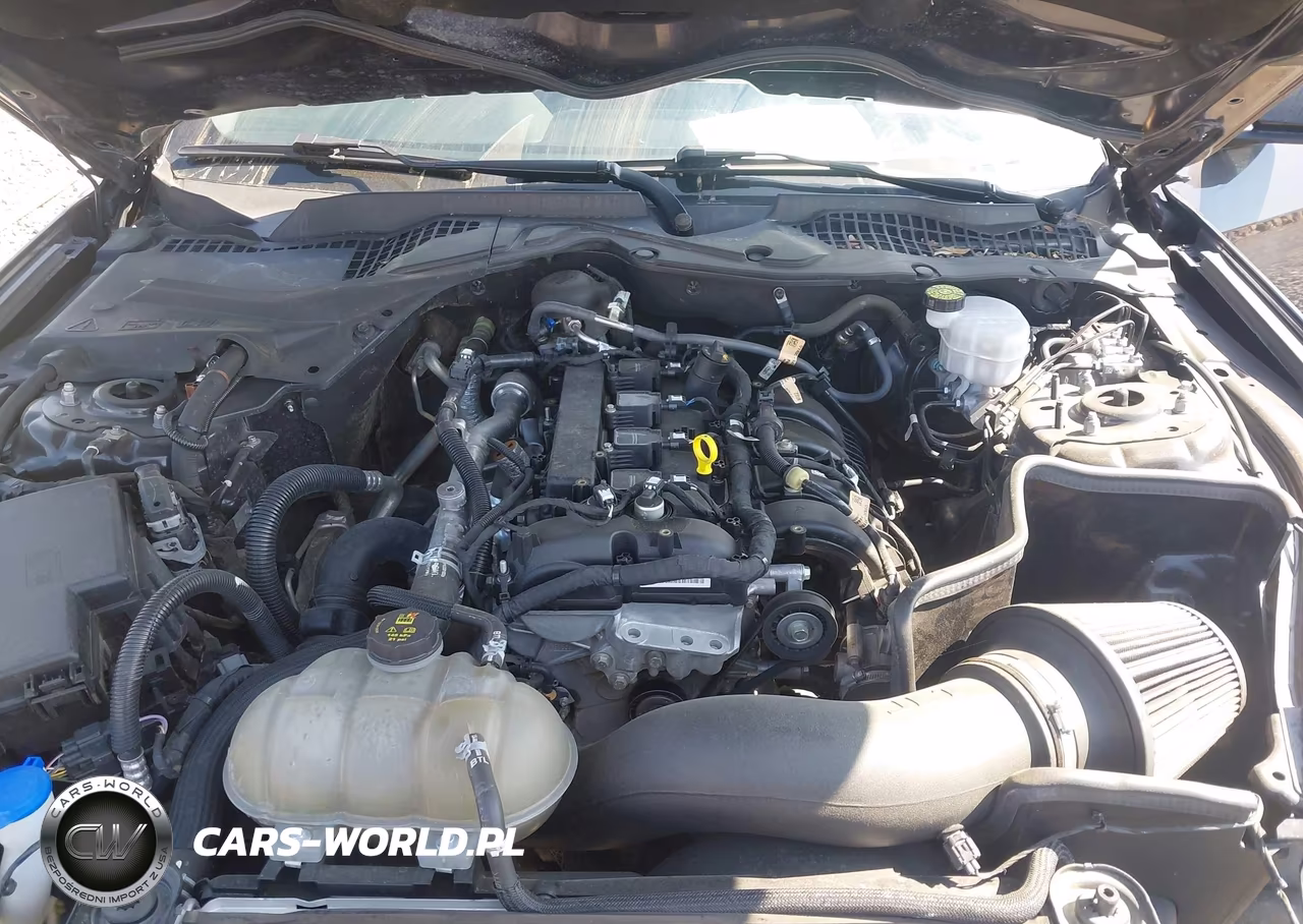 2022 Ford Mustang Ecoboost Fastback VIN:1FA6P8TH2N5146325 - 10