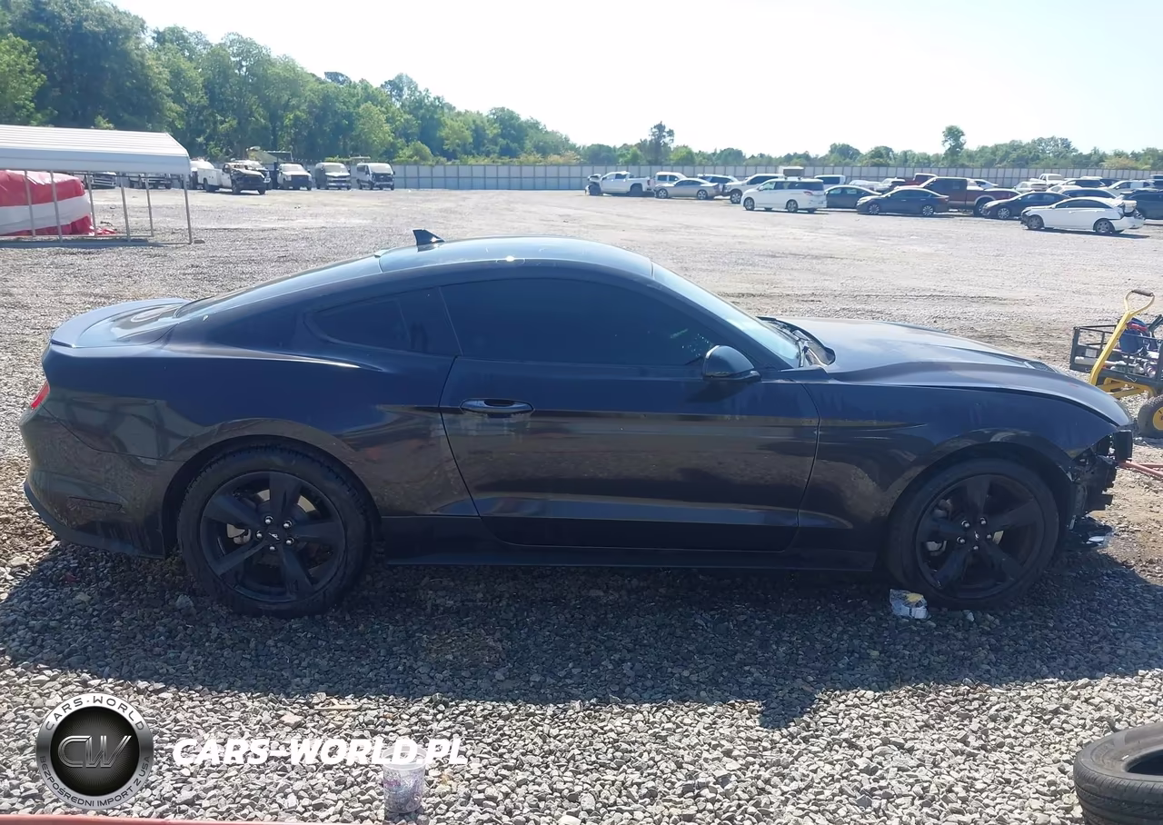 2022 Ford Mustang Ecoboost Fastback VIN:1FA6P8TH2N5146325 - 13