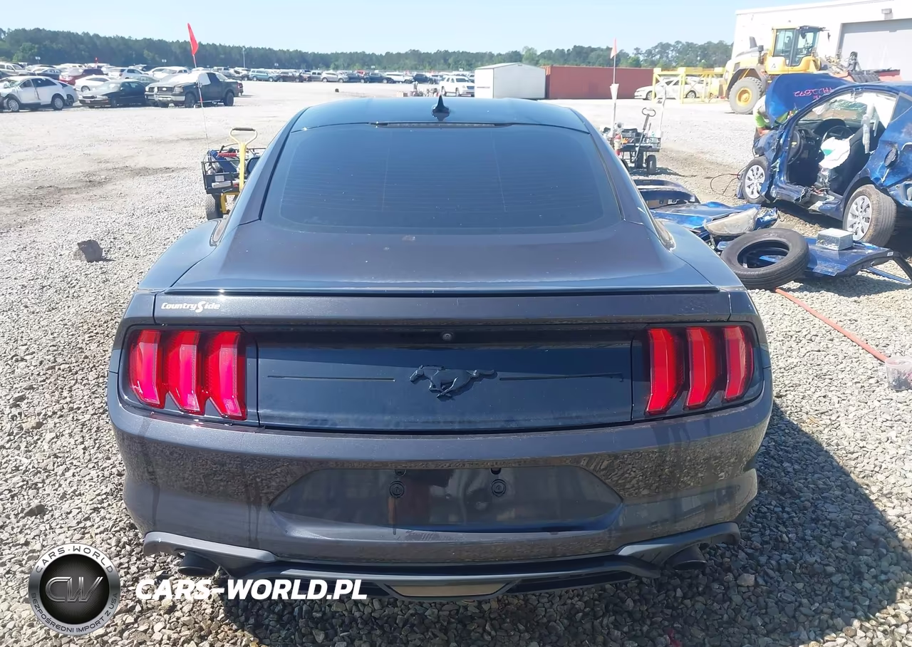 2022 Ford Mustang Ecoboost Fastback VIN:1FA6P8TH2N5146325 - 16