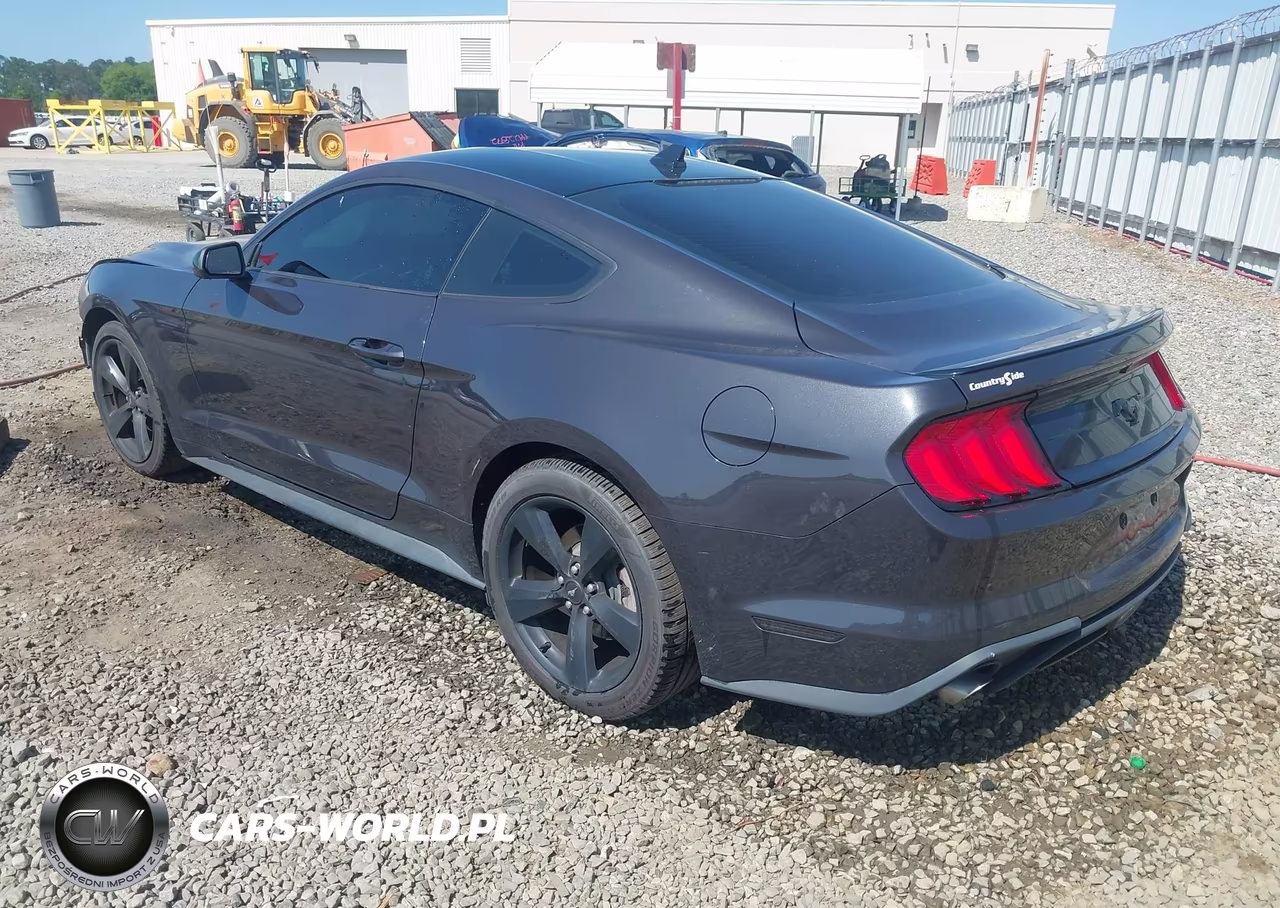 2022 Ford Mustang Ecoboost Fastback VIN:1FA6P8TH2N5146325 - 3