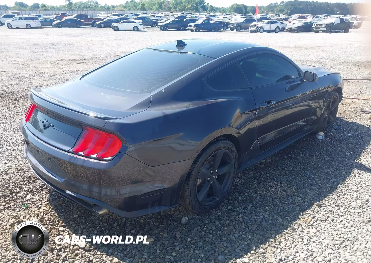 2022 Ford Mustang Ecoboost Fastback VIN:1FA6P8TH2N5146325 - 4