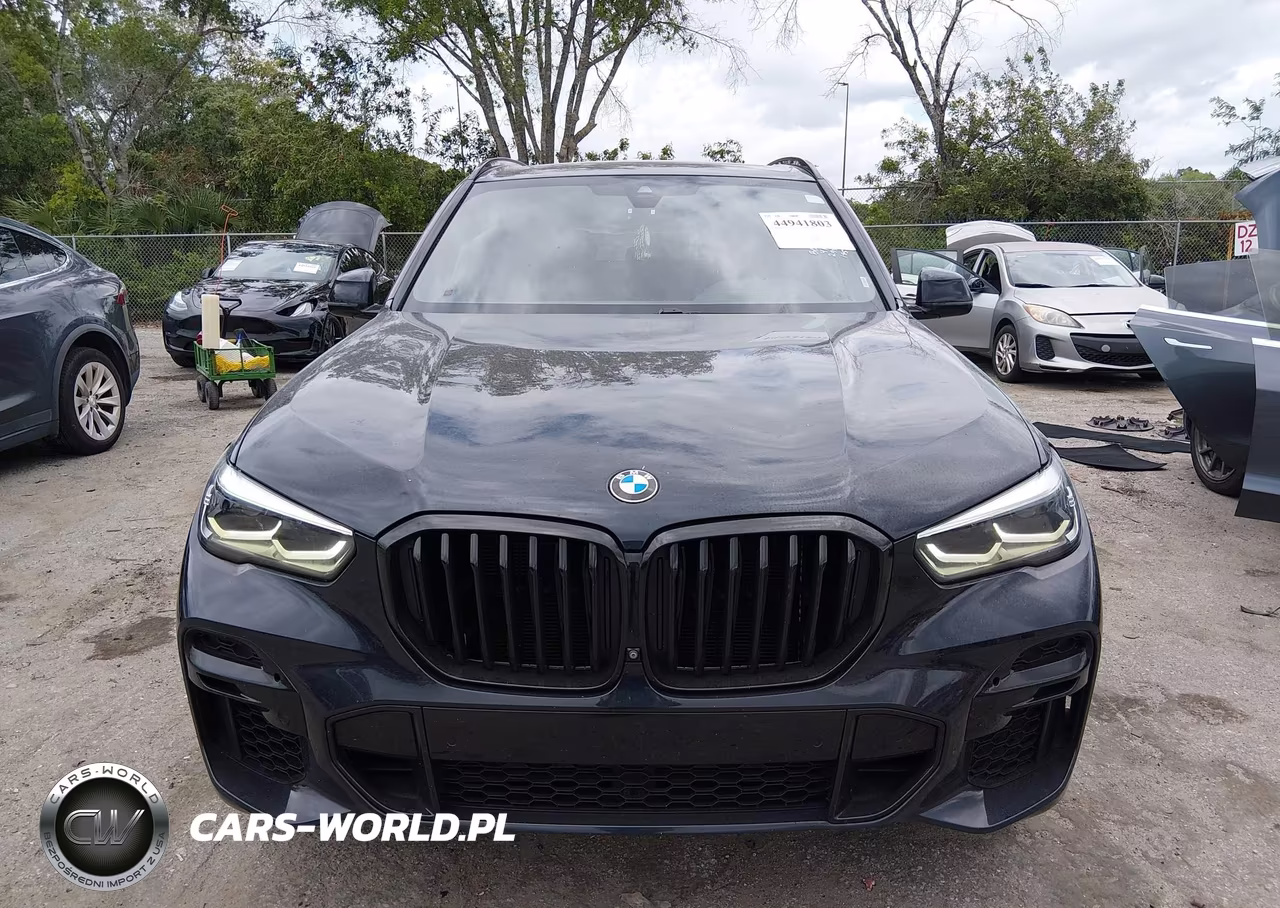 2022 BMW X5 Sdrive40I VIN:5UXCR4C04N9J62575 - 12