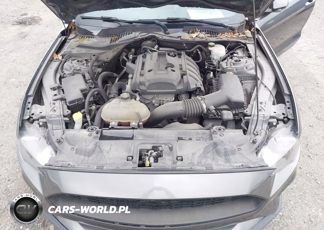 2019 Ford Mustang Ecoboost VIN:1FA6P8TH3K5188000 - 10