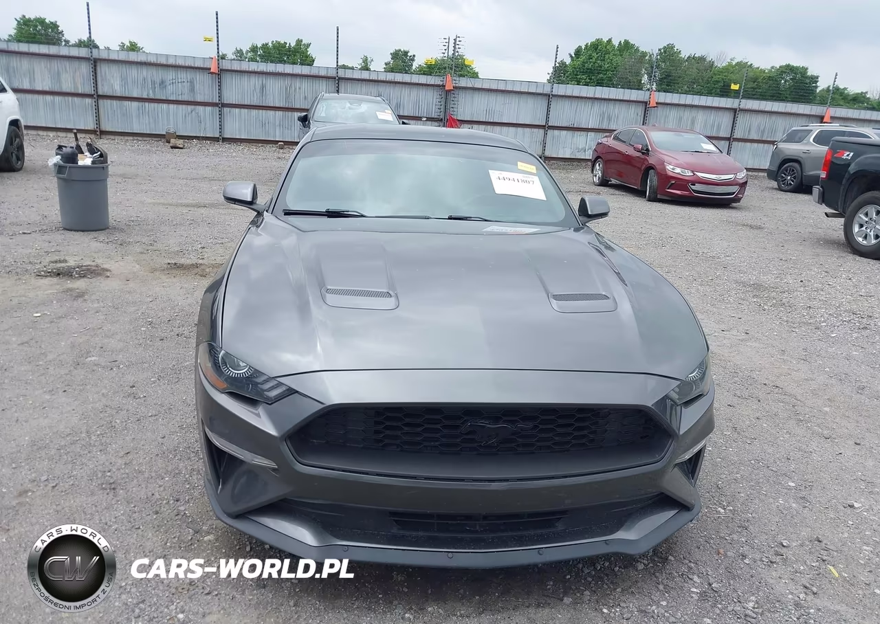 2019 Ford Mustang Ecoboost VIN:1FA6P8TH3K5188000 - 13
