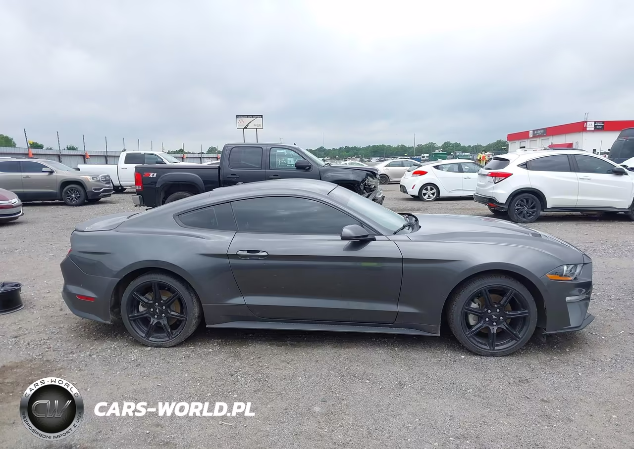 2019 Ford Mustang Ecoboost VIN:1FA6P8TH3K5188000 - 14