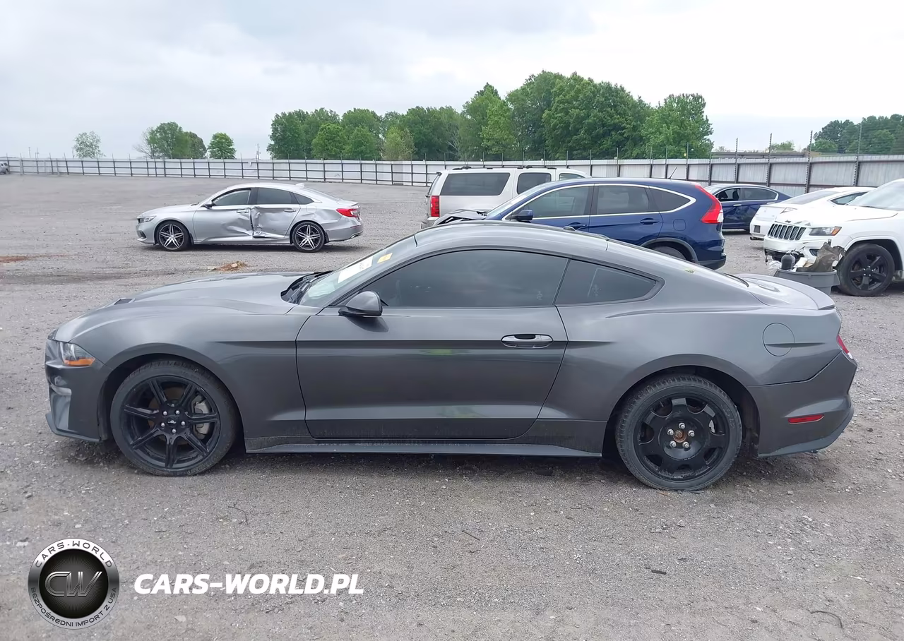2019 Ford Mustang Ecoboost VIN:1FA6P8TH3K5188000 - 15