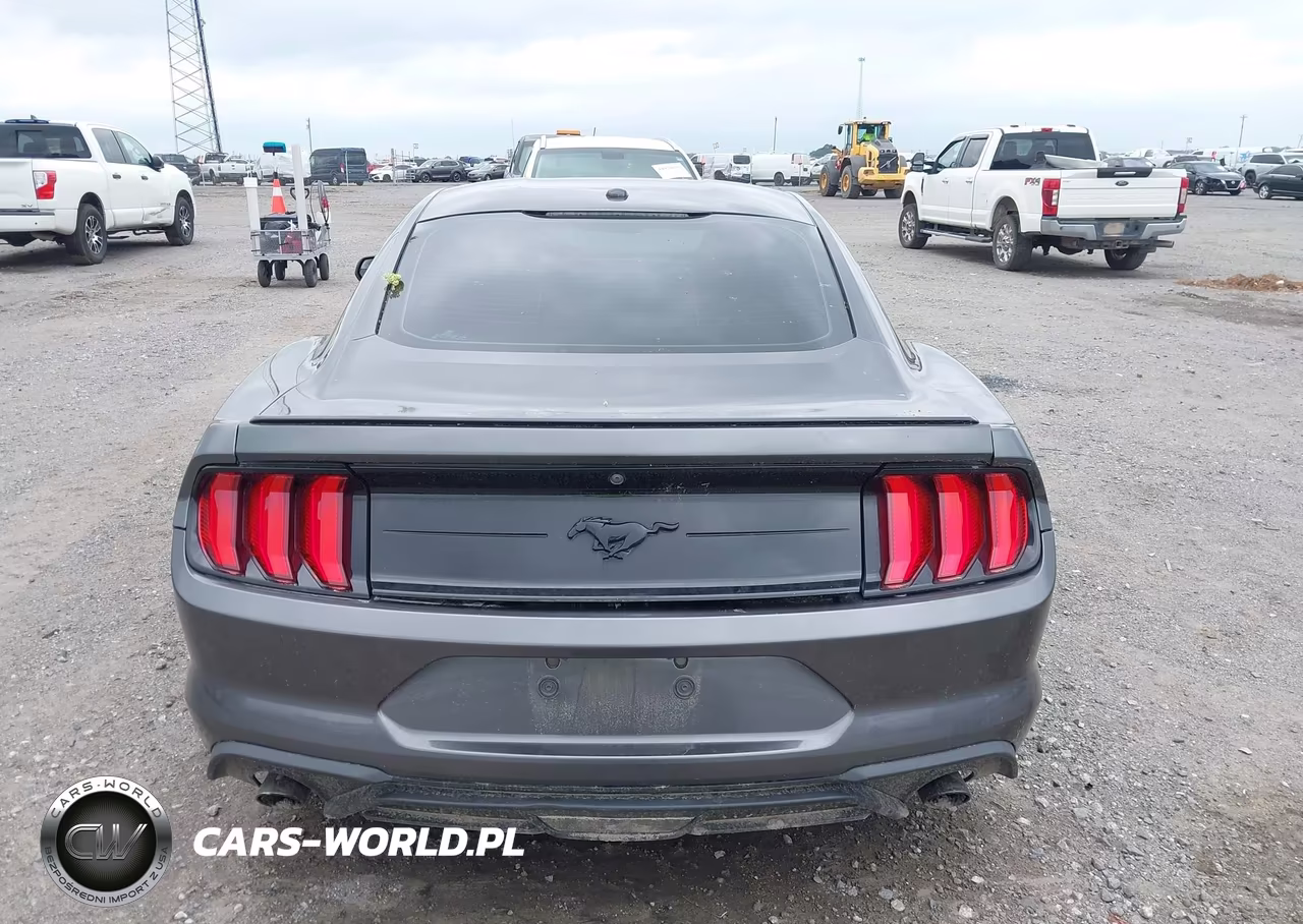 2019 Ford Mustang Ecoboost VIN:1FA6P8TH3K5188000 - 17