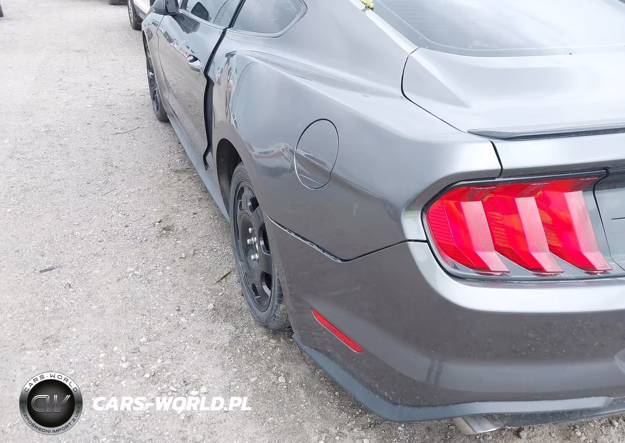 2019 Ford Mustang Ecoboost VIN:1FA6P8TH3K5188000 - 18
