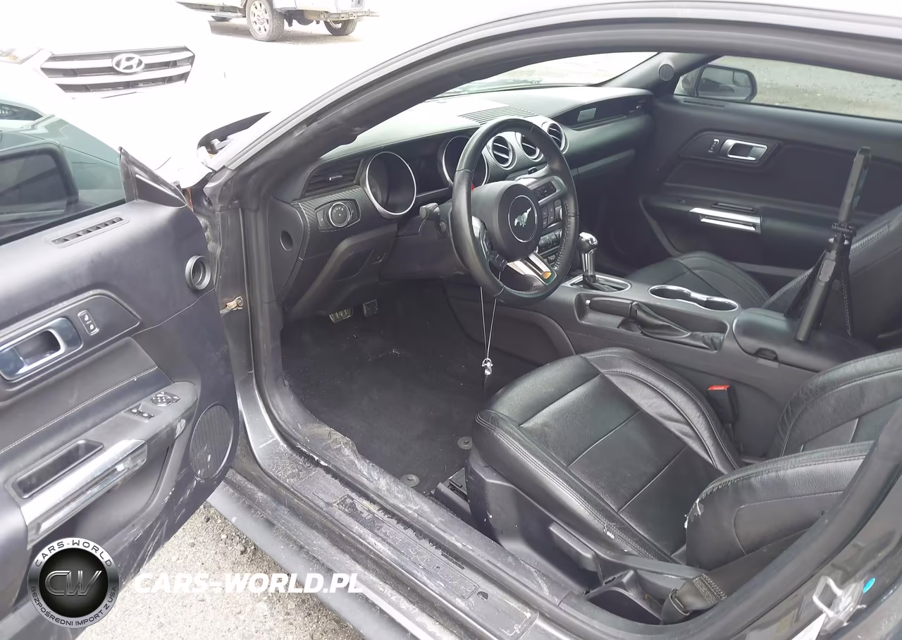 2019 Ford Mustang Ecoboost VIN:1FA6P8TH3K5188000 - 19
