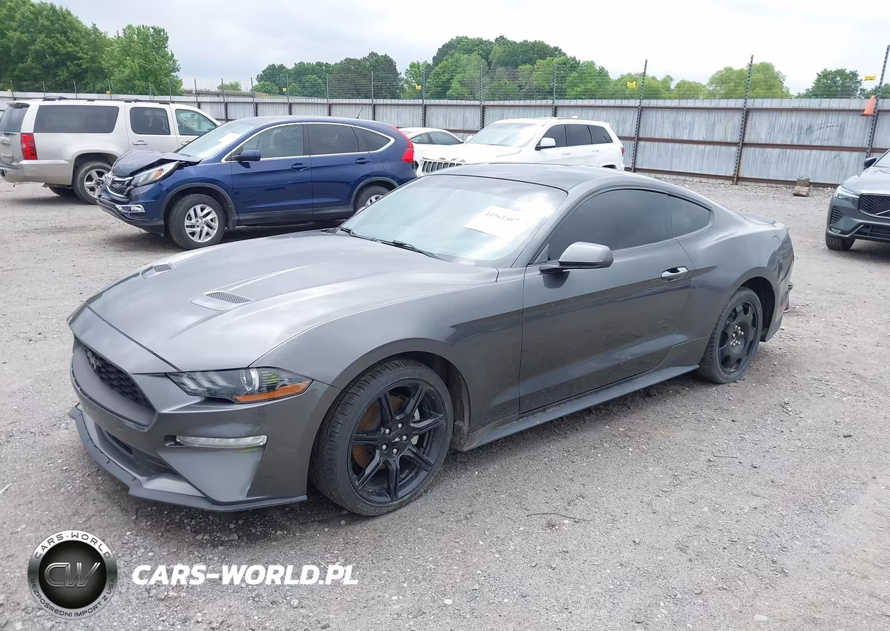 2019 Ford Mustang Ecoboost VIN:1FA6P8TH3K5188000 - 2
