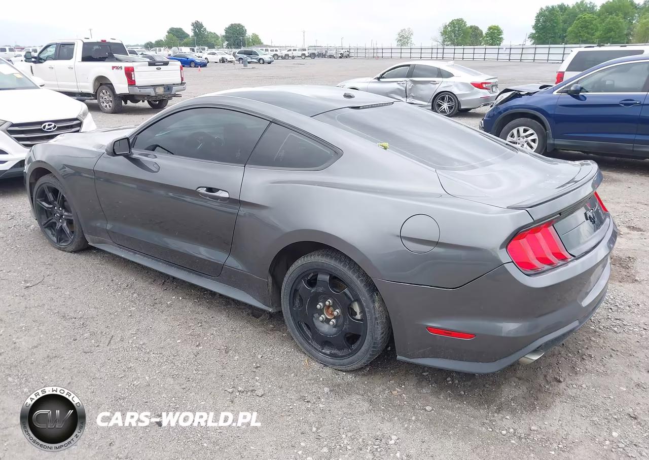 2019 Ford Mustang Ecoboost VIN:1FA6P8TH3K5188000 - 3