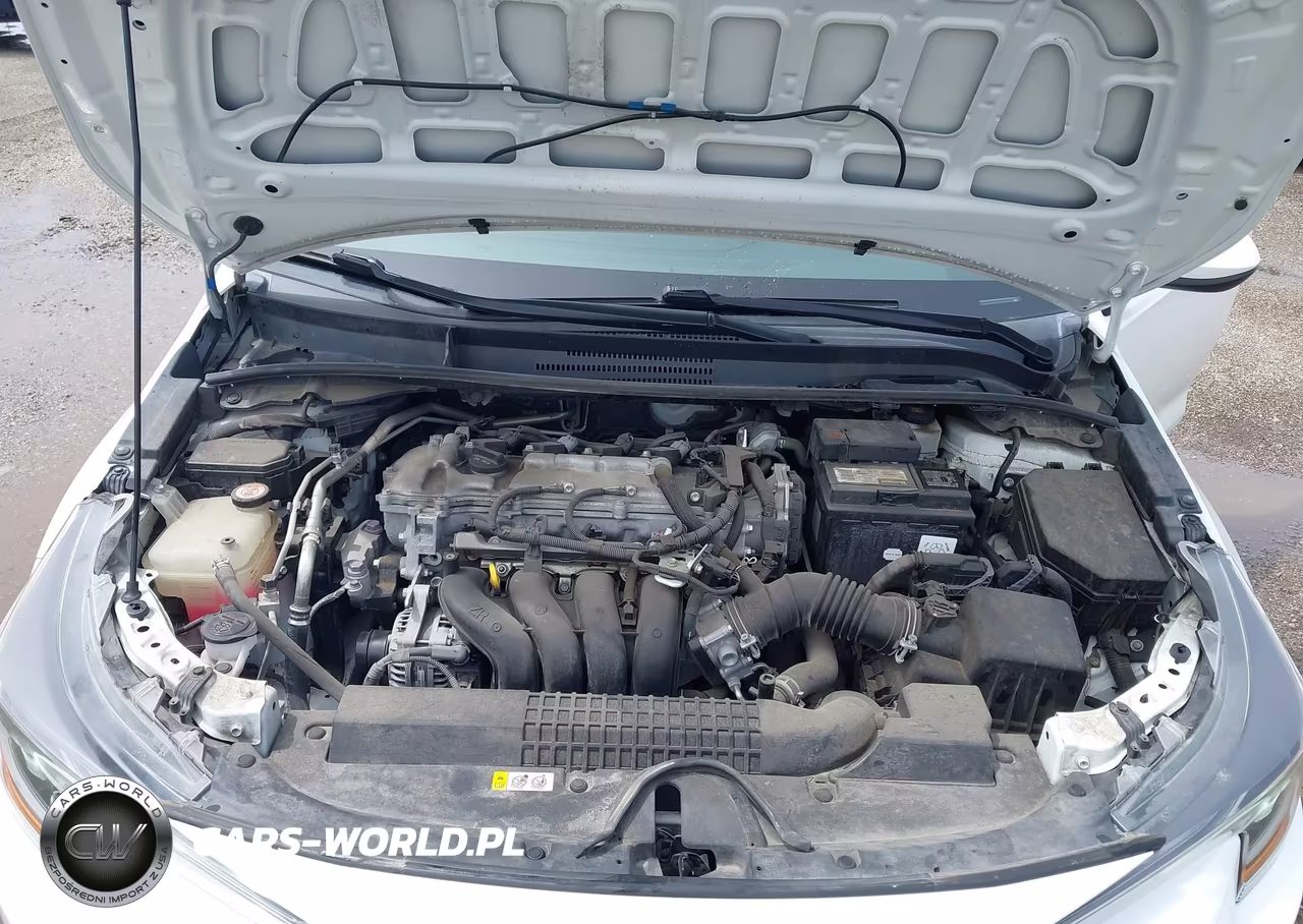 2020 Toyota Corolla Le VIN:5YFEPRAE2LP073154 - 10