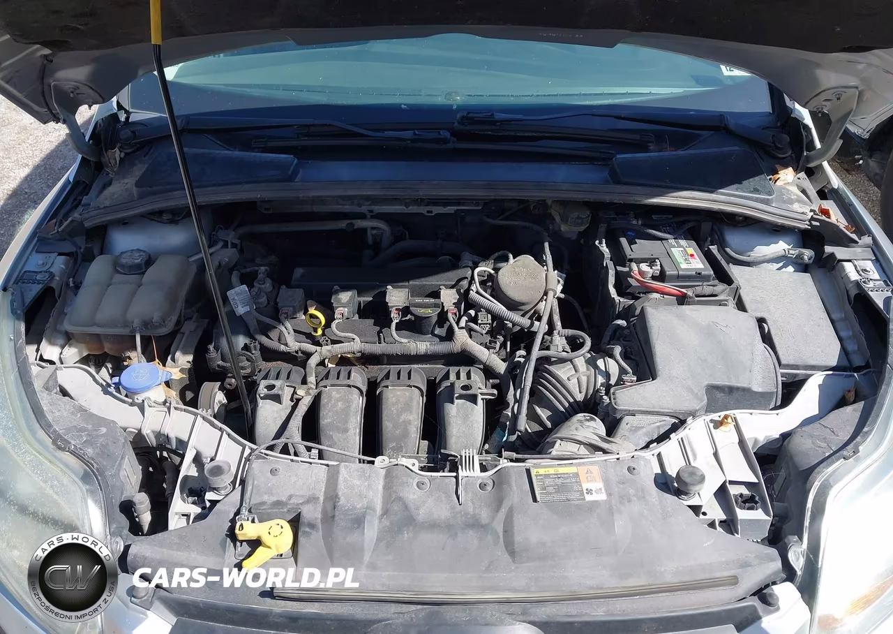 2014 Ford Focus Se VIN:1FADP3F2XEL104627 - 10