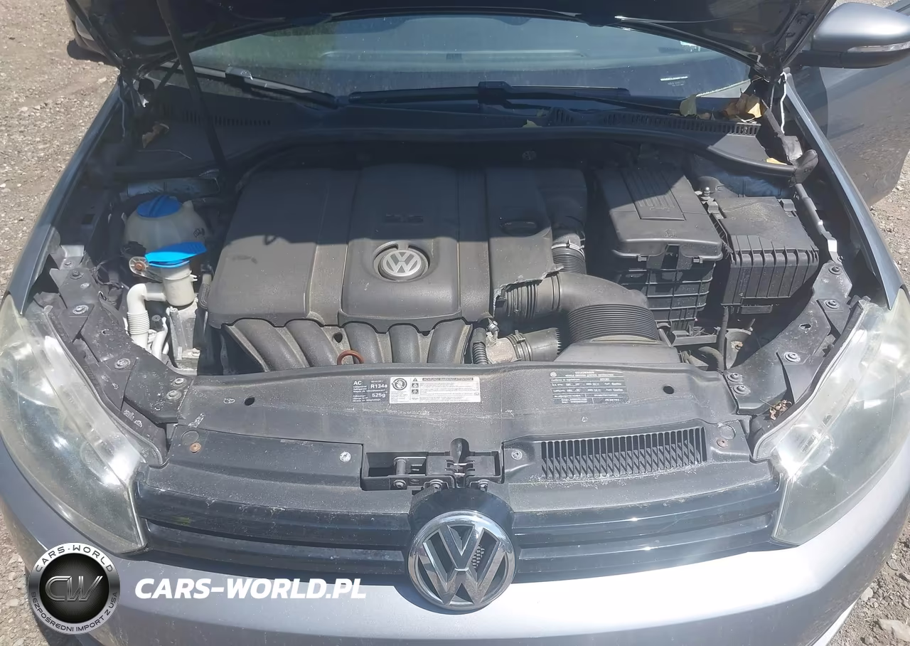 2010 Volkswagen Golf 4-Door VIN:WVWDB7AJXAW216948 - 10