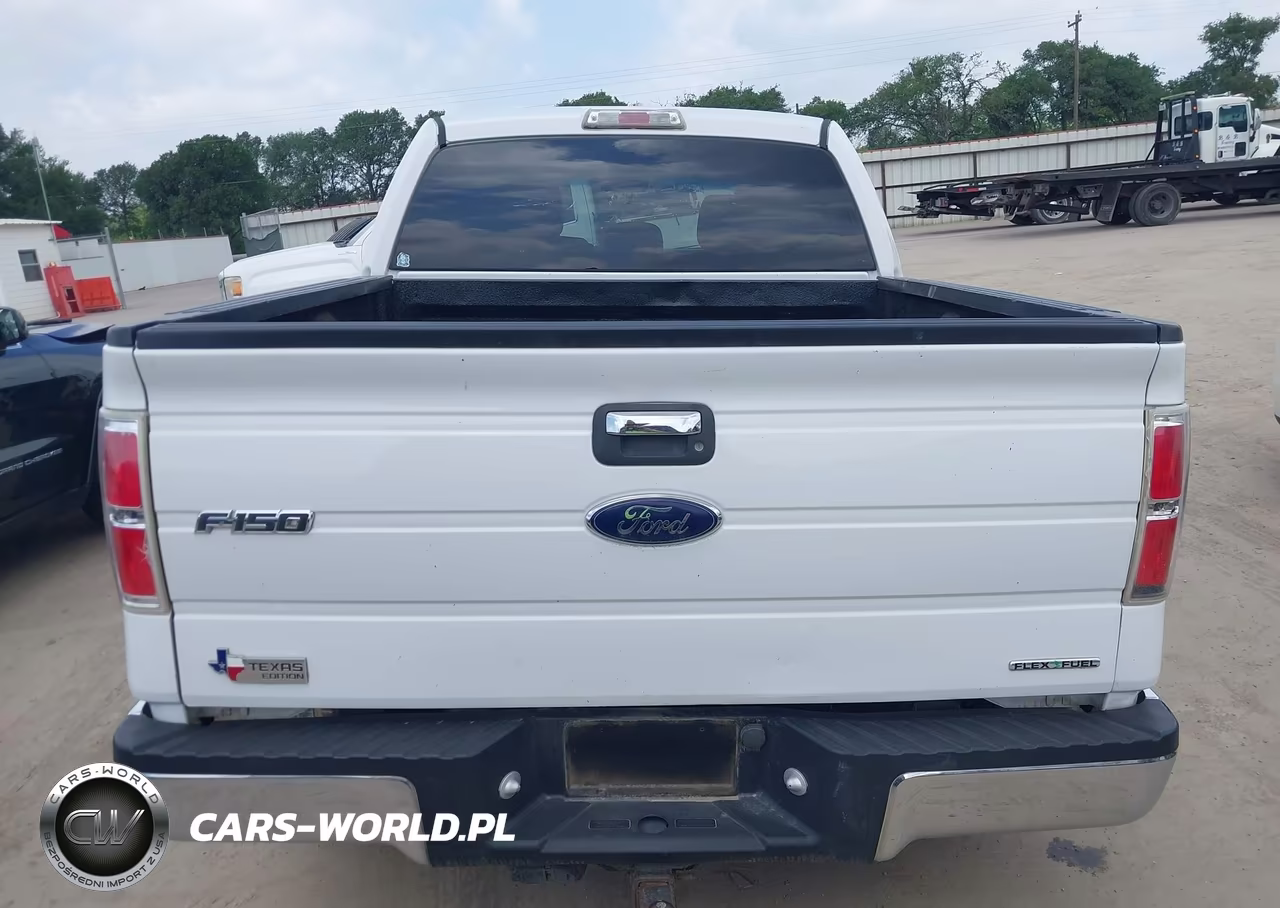 2014 Ford F-150 Xlt VIN:1FTEW1CMXEFC70320 - 16