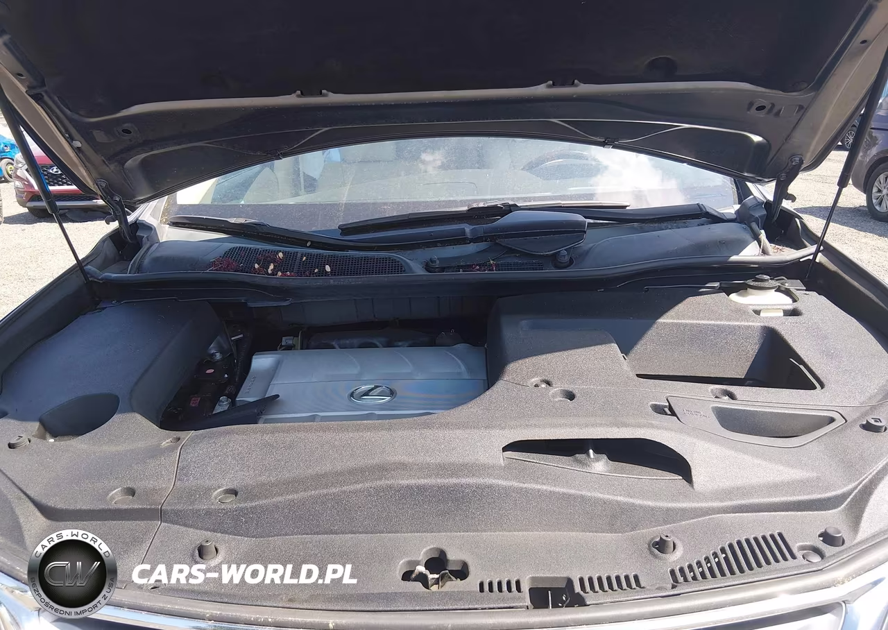 2015 Lexus Rx 350 VIN:2T2ZK1BA4FC161619 - 10