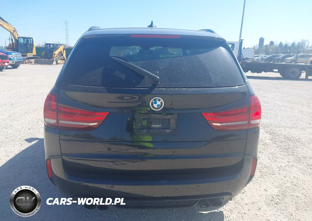 2016 BMW X5 M VIN:5YMKT6C50G0R78493 - 16