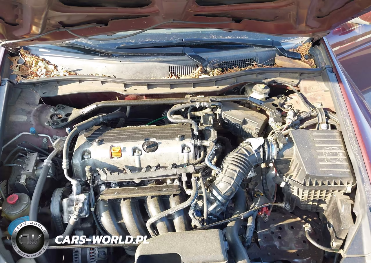 2010 Honda Accord 2.4 Ex-L VIN:1HGCP2F84AA159456 - 10