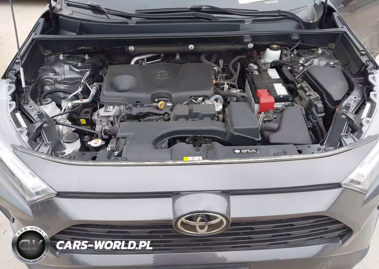 2023 Toyota Rav4 Xle VIN:2T3W1RFV5PW241959 - 10