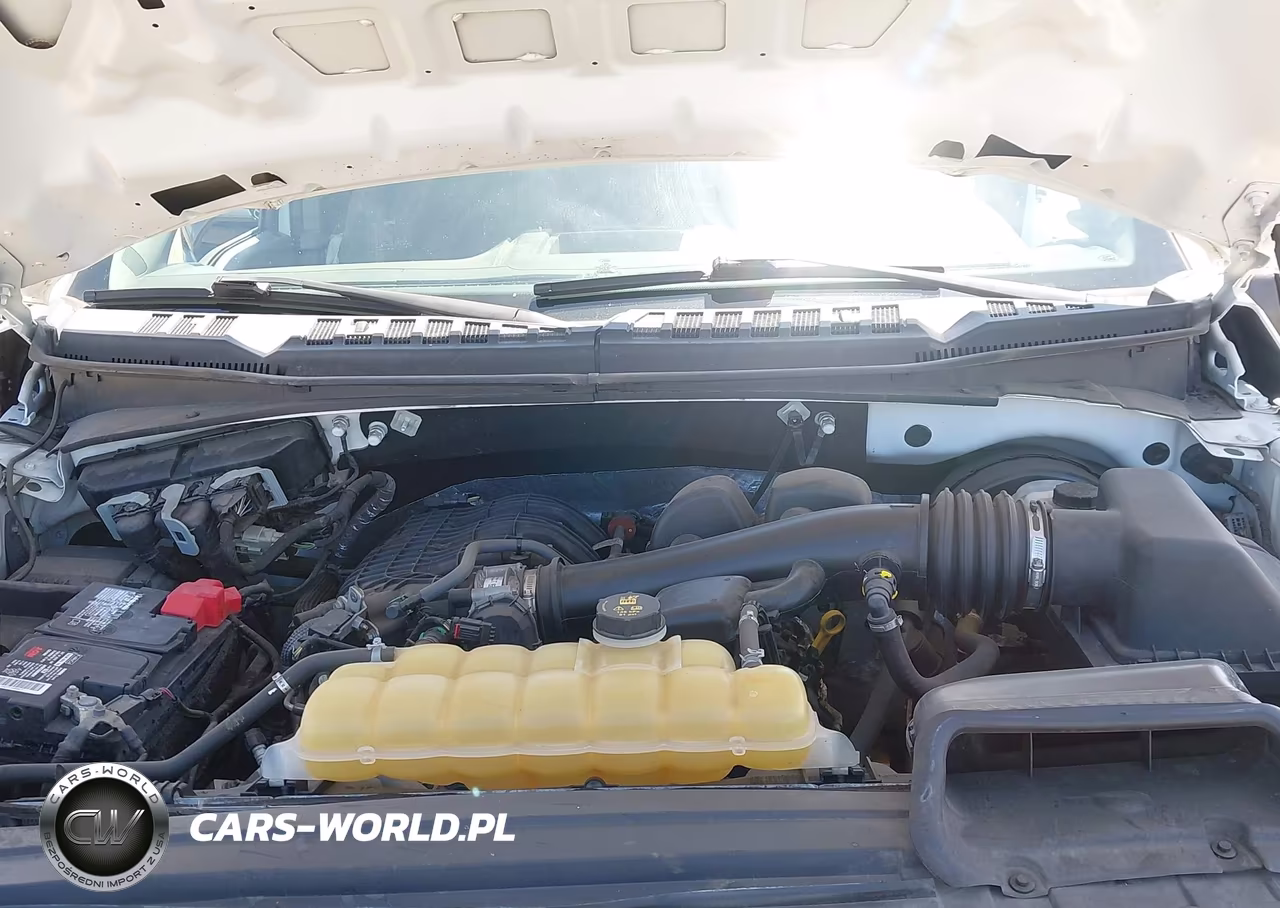 2019 Ford F-150 Xl VIN:1FTEX1CB6KKE38095 - 10
