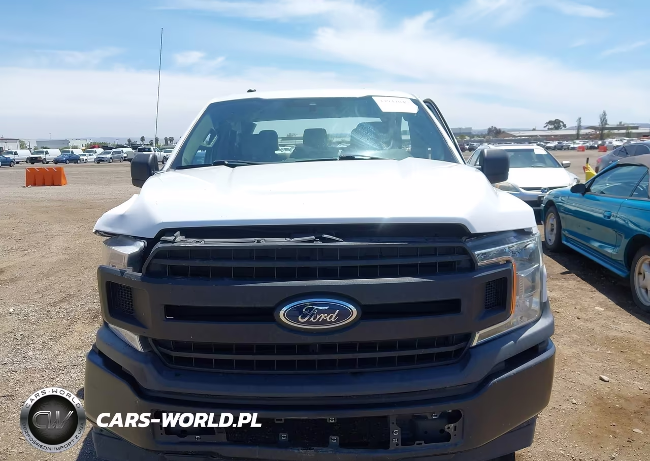 2019 Ford F-150 Xl VIN:1FTEX1CB6KKE38095 - 12