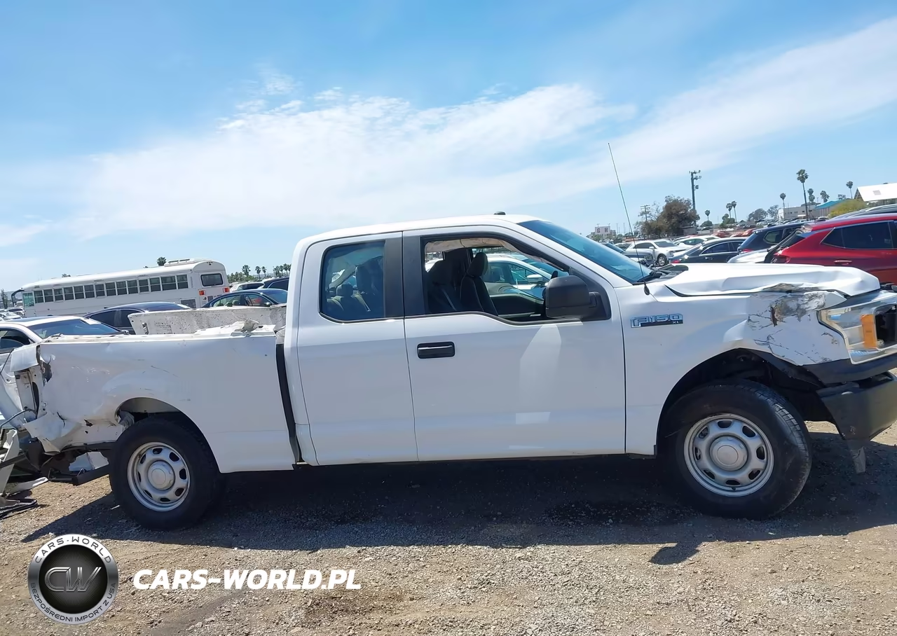 2019 Ford F-150 Xl VIN:1FTEX1CB6KKE38095 - 13