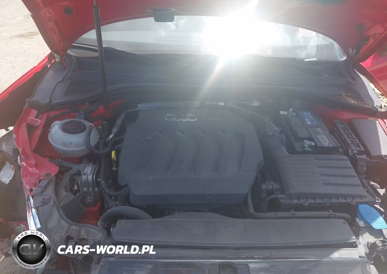 2019 Audi A3 40 Titanium Premium VIN:WAUAUGFF8KA097097 - 10