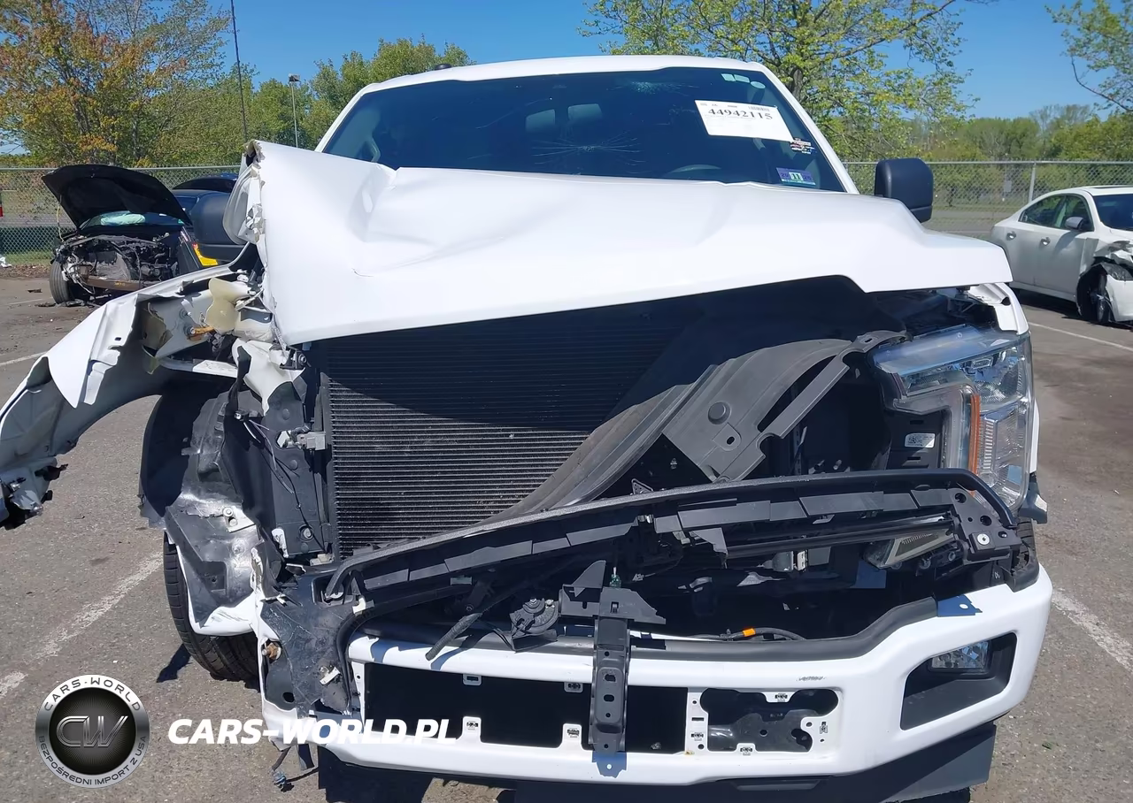 2019 Ford F-150 Xl VIN:1FTMF1C55KKD79114 - 11