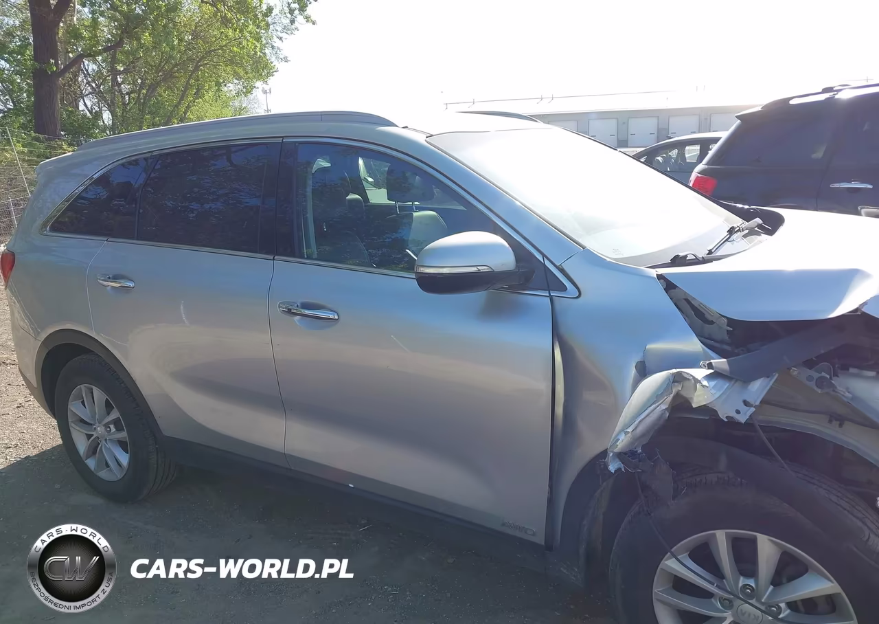 2017 Kia Sorento 2.4L Lx VIN:5XYPGDA3XHG337419 - 13