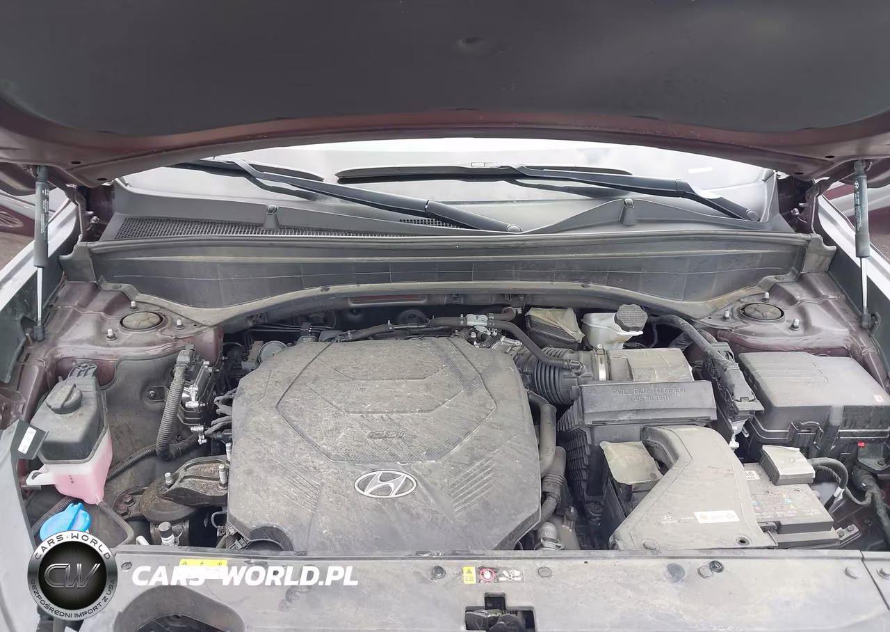 2024 Hyundai Palisade Calligraphy VIN:KM8R74GE7RU807239 - 10