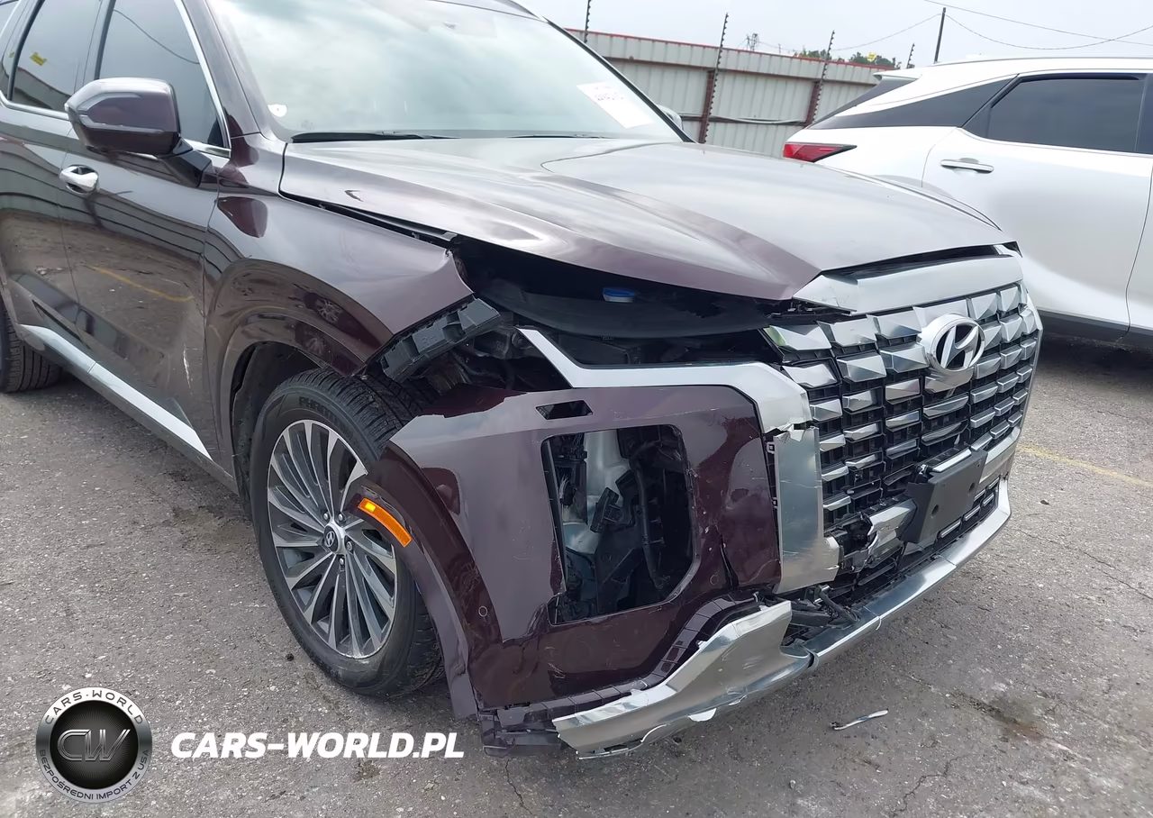 2024 Hyundai Palisade Calligraphy VIN:KM8R74GE7RU807239 - 6