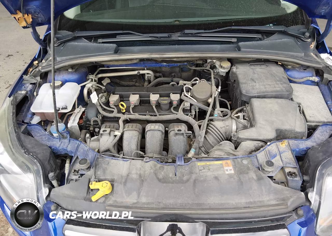 2013 Ford Focus Titanium VIN:1FADP3J28DL115728 - 10