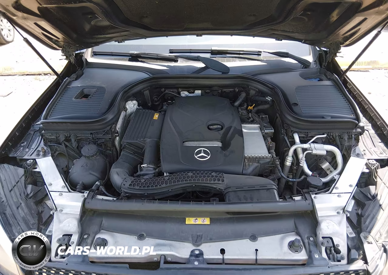 2018 Mercedes-Benz Glc 300 Coupe 4Matic VIN:WDC0J4KB1JF403027 - 10
