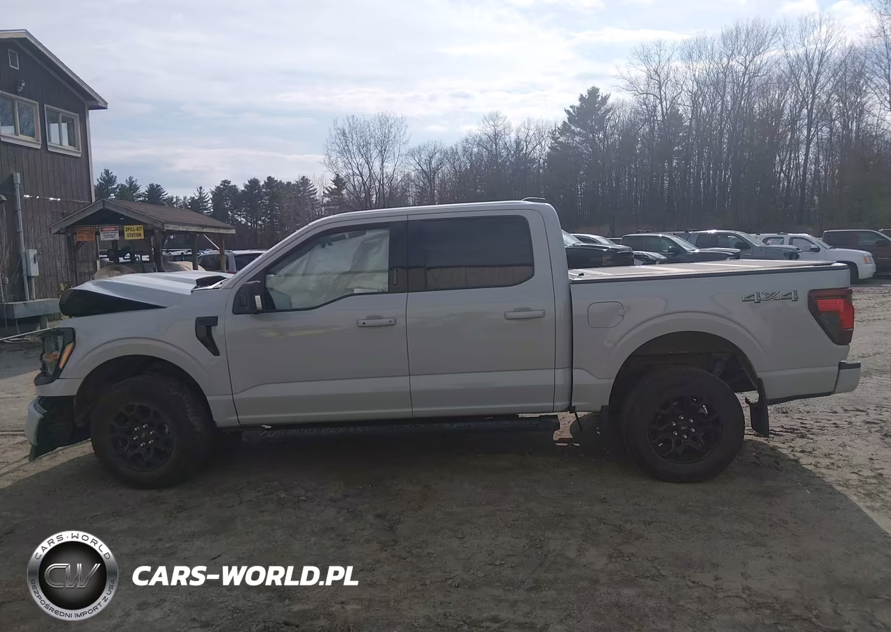 2024 Ford F-150 Xlt VIN:1FTFW3L87RKF44184 - 14
