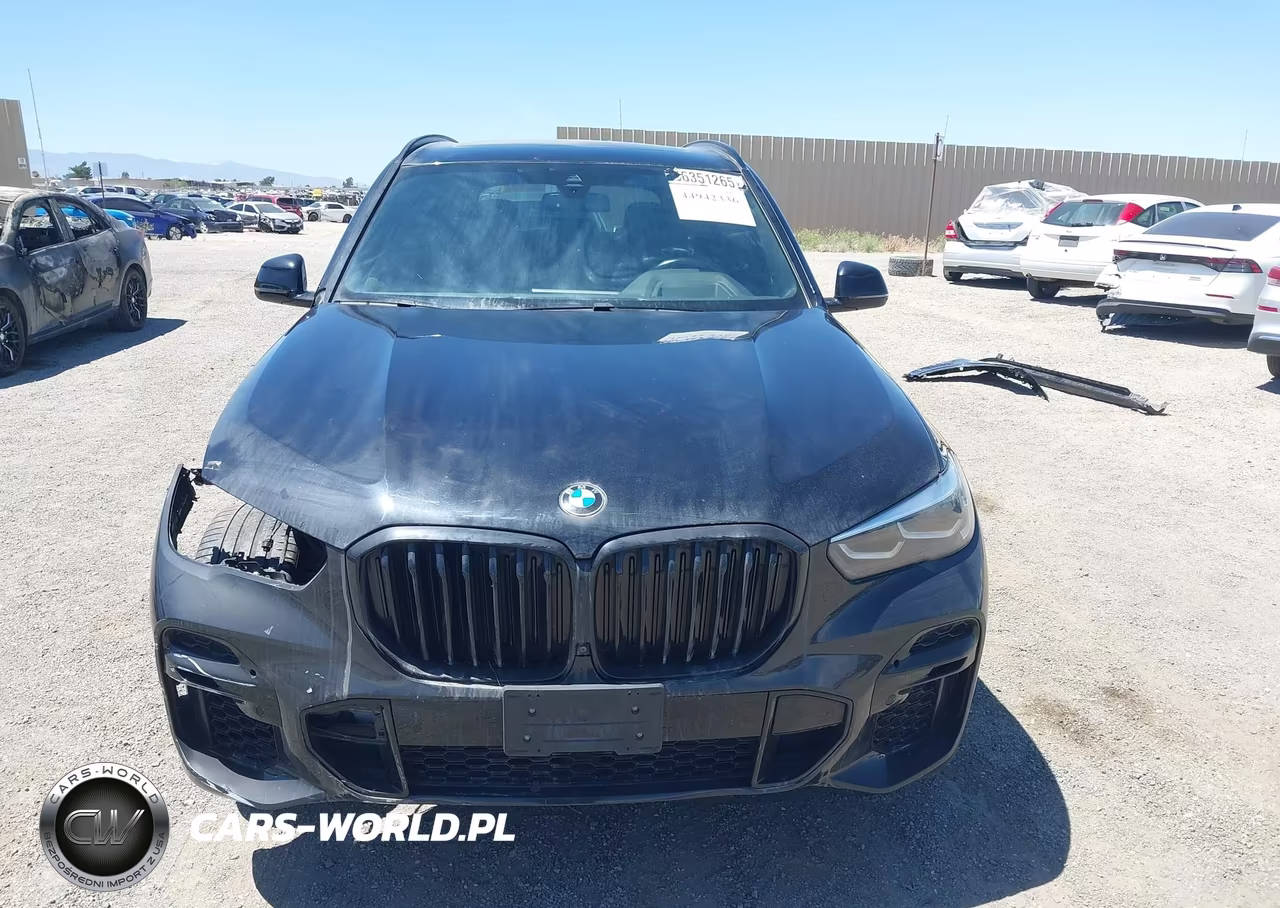 2023 BMW X5 xDrive40I VIN:5UXCR6C02P9N48507 - 13
