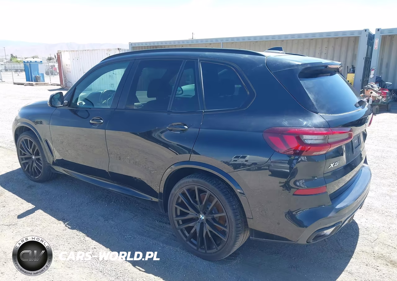 2023 BMW X5 xDrive40I VIN:5UXCR6C02P9N48507 - 3