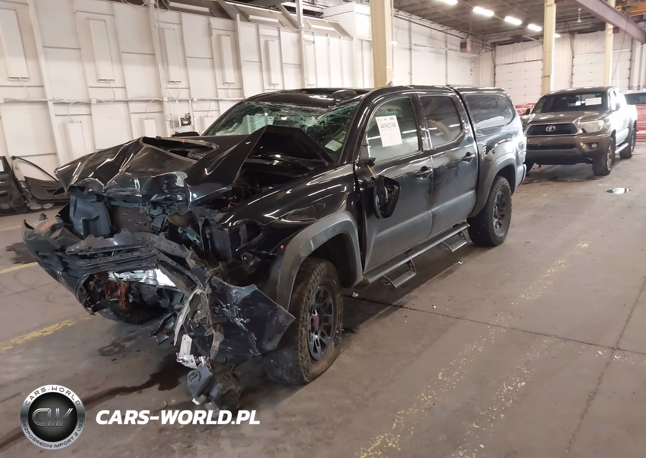 2019 Toyota Tacoma Trd Pro VIN:5TFCZ5AN6KX198149 - 2