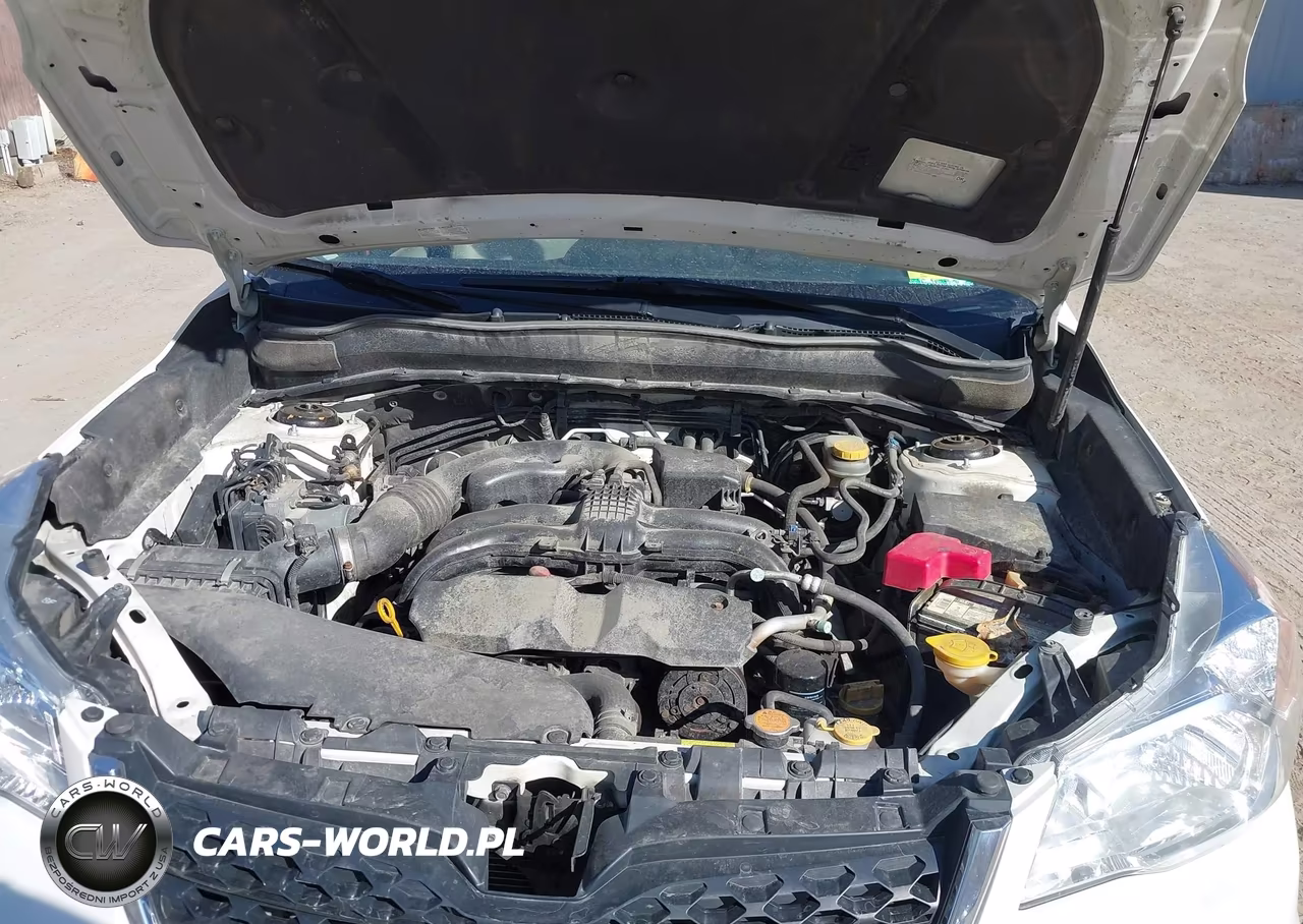 2016 Subaru Forester 2.5I Limited VIN:JF2SJARC6GH526056 - 10