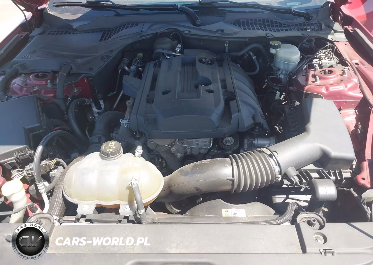 2016 Ford Mustang Ecoboost VIN:1FA6P8TH0G5332061 - 10