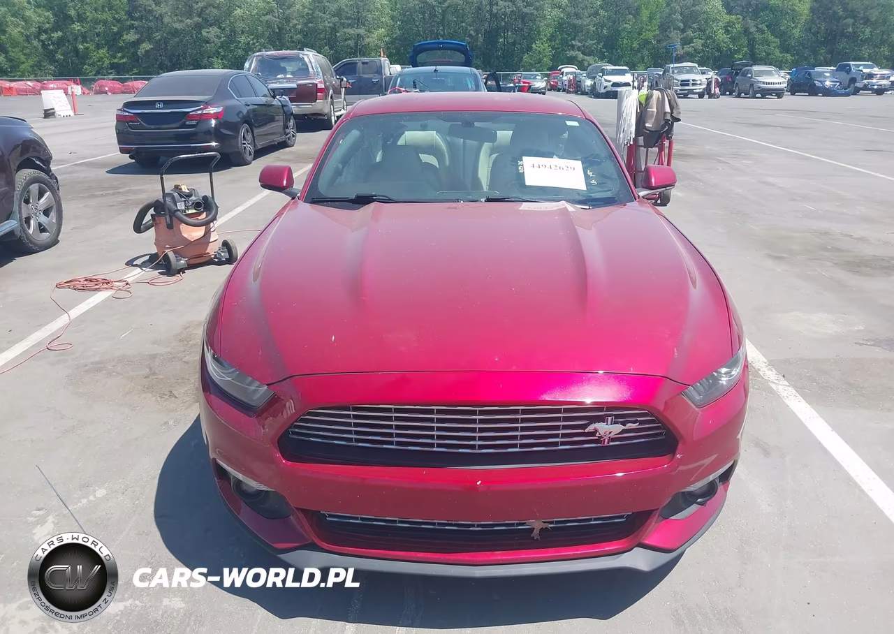 2016 Ford Mustang Ecoboost VIN:1FA6P8TH0G5332061 - 11