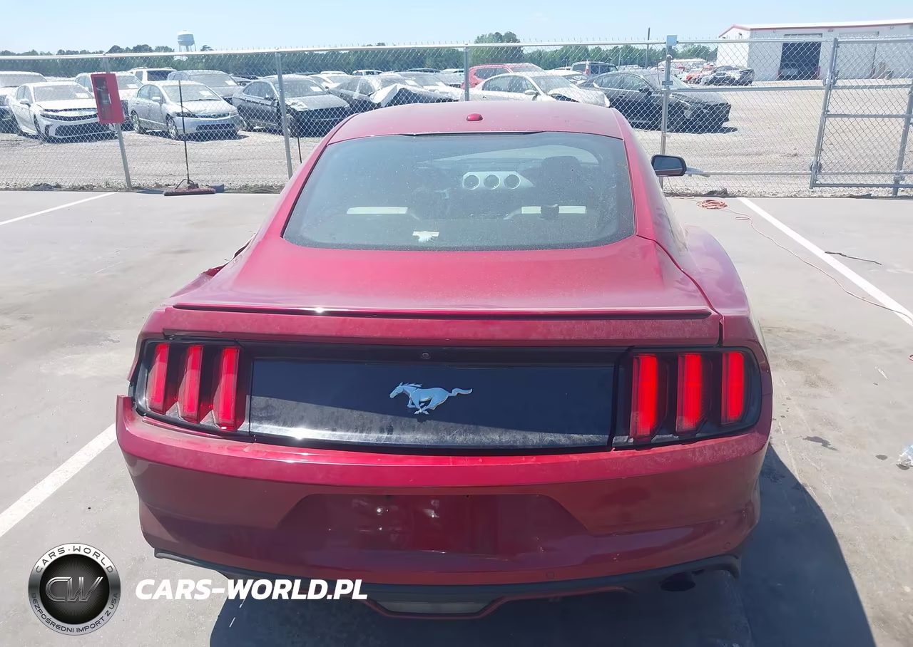 2016 Ford Mustang Ecoboost VIN:1FA6P8TH0G5332061 - 15