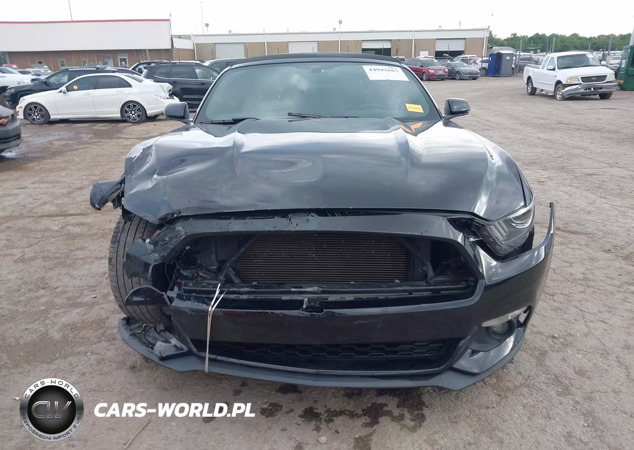 2017 Ford Mustang Ecoboost Premium VIN:1FATP8UH1H5317331 - 13