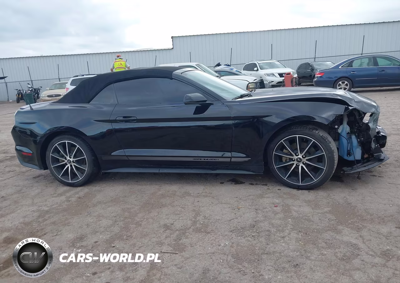 2017 Ford Mustang Ecoboost Premium VIN:1FATP8UH1H5317331 - 14