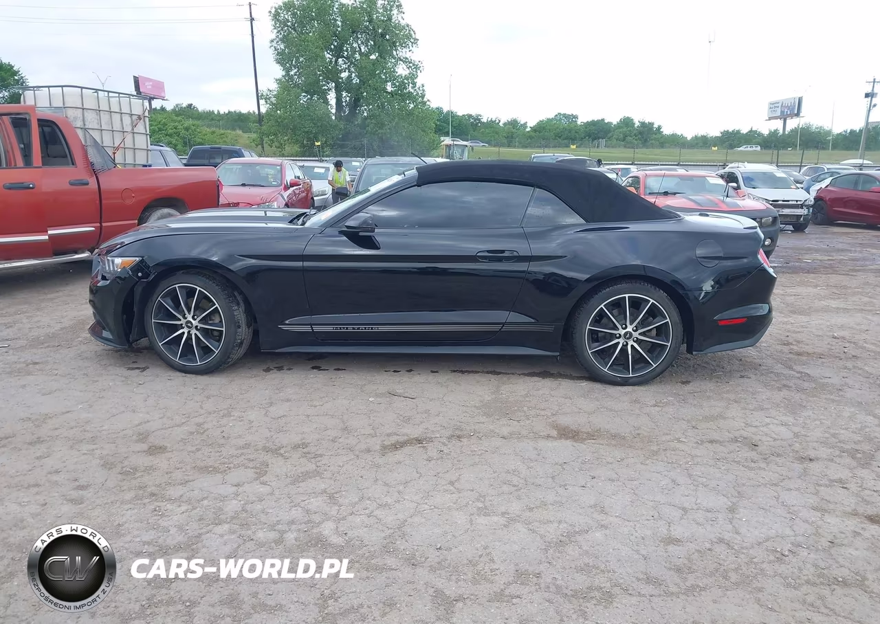 2017 Ford Mustang Ecoboost Premium VIN:1FATP8UH1H5317331 - 15