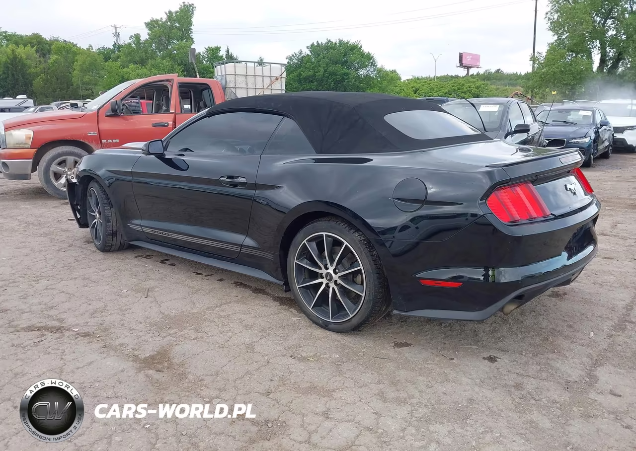 2017 Ford Mustang Ecoboost Premium VIN:1FATP8UH1H5317331 - 3