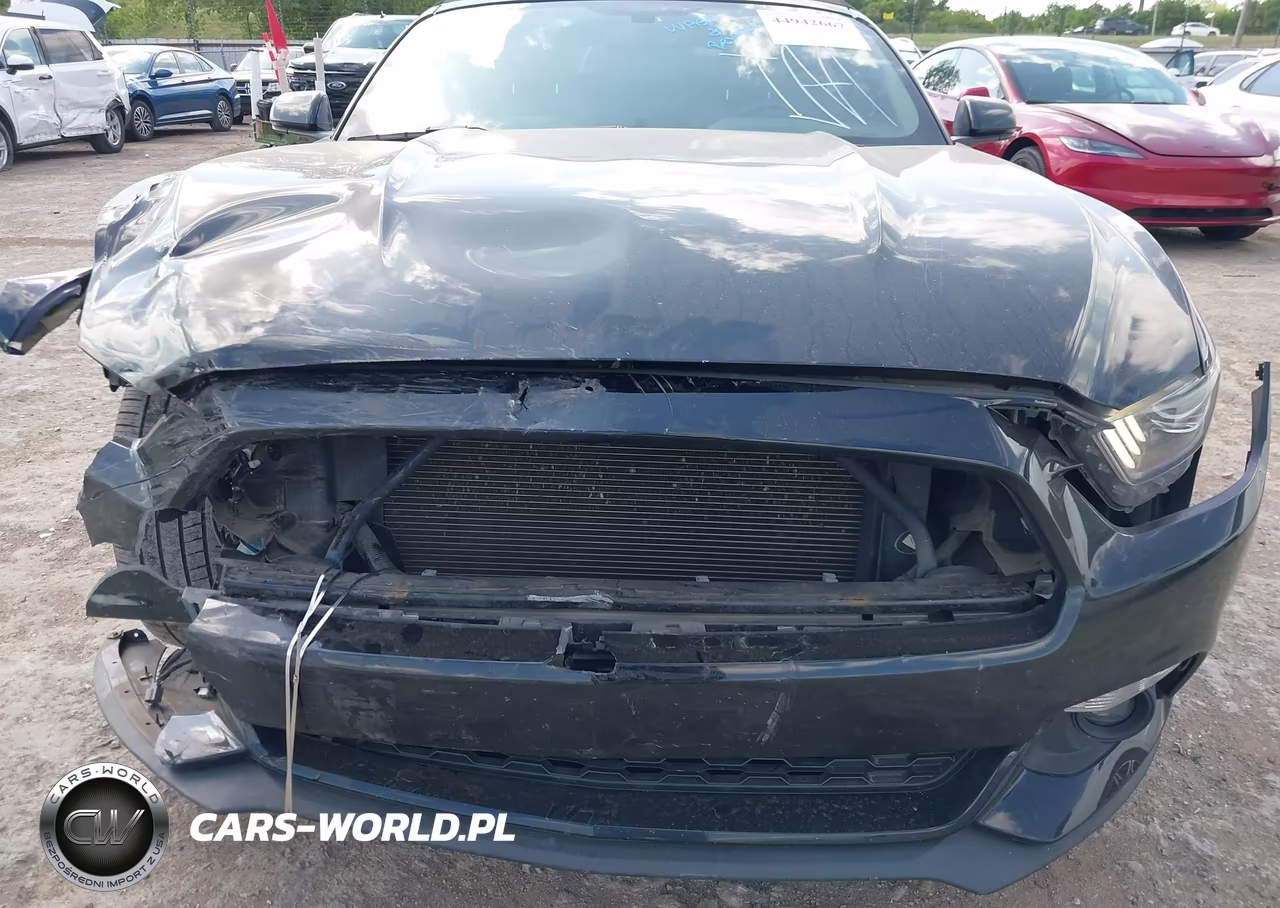2017 Ford Mustang Ecoboost Premium VIN:1FATP8UH1H5317331 - 6